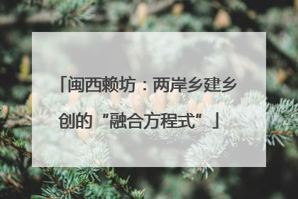 闽西赖坊：两岸乡建乡创的“融合方程式”