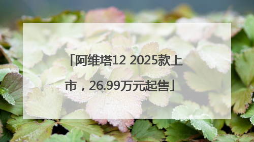 阿维塔12 2025款上市，26.99万元起售