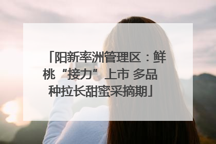 阳新率洲管理区：鲜桃“接力”上市 多品种拉长甜蜜采摘期