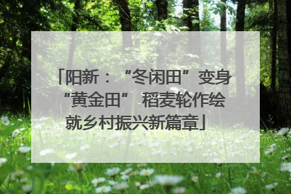 阳新：“冬闲田”变身“黄金田” 稻麦轮作绘就乡村振兴新篇章