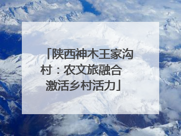 陕西神木王家沟村：农文旅融合 激活乡村活力