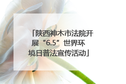 陕西神木市法院开展“6.5”世界环境日普法宣传活动