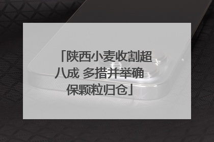 陕西小麦收割超八成 多措并举确保颗粒归仓