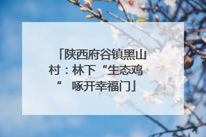 陕西府谷镇黑山村：林下“生态鸡” 啄开幸福门