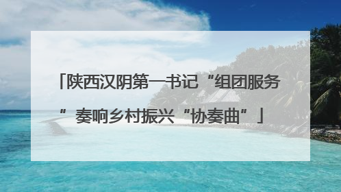陕西汉阴第一书记“组团服务”奏响乡村振兴“协奏曲”