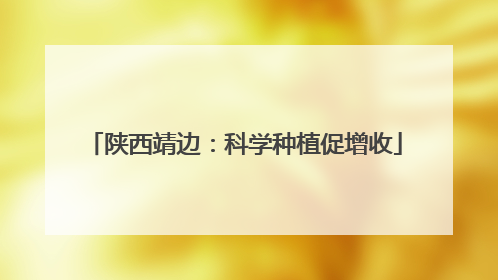 陕西靖边：科学种植促增收