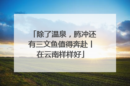 除了温泉，腾冲还有三文鱼值得奔赴丨在云南样样好