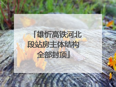 雄忻高铁河北段站房主体结构全部封顶