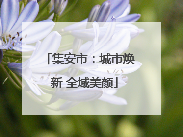 集安市：城市焕新 全域美颜