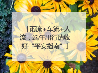 雨流+车流+人流，端午出行请收好“平安指南”