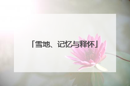 雪地、记忆与释怀