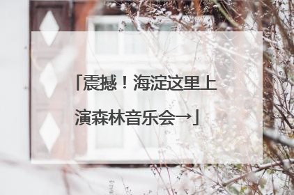 震撼！海淀这里上演森林音乐会→