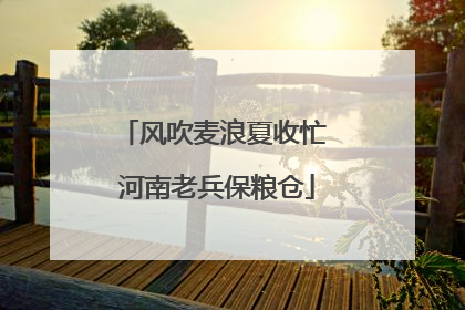 风吹麦浪夏收忙 河南老兵保粮仓