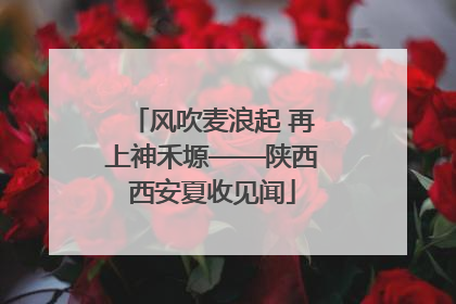 风吹麦浪起 再上神禾塬——陕西西安夏收见闻