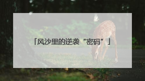 风沙里的逆袭“密码”