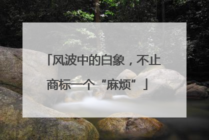 风波中的白象，不止商标一个“麻烦”