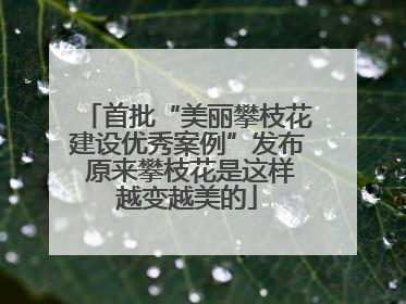 首批“美丽攀枝花建设优秀案例”发布 原来攀枝花是这样越变越美的