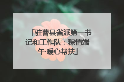 驻曹县省派第一书记和工作队：粽情端午·暖心帮扶
