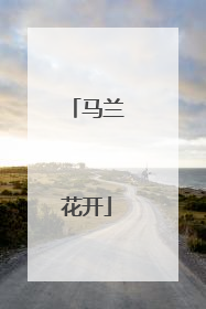 马兰花开