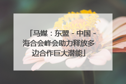 马媒：东盟－中国－海合会峰会助力释放多边合作巨大潜能