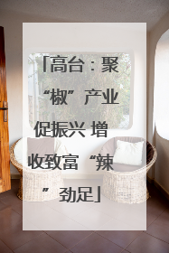 高台：聚“椒”产业促振兴 增收致富“辣”劲足
