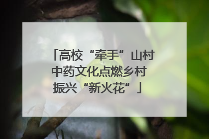高校“牵手”山村 中药文化点燃乡村振兴“新火花”