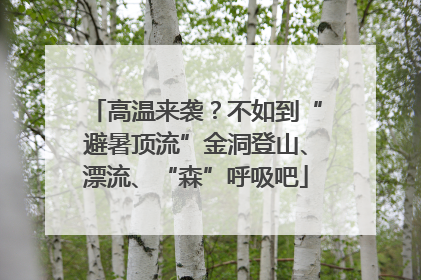 高温来袭？不如到“避暑顶流”金洞登山、漂流、“森”呼吸吧