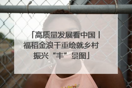 高质量发展看中国丨福稻金浪千重绘就乡村振兴“丰”景图