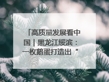 高质量发展看中国｜黑龙江绥滨：一枚鹅蛋打造出“产业图腾”
