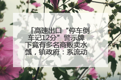 高速出口“停车倒车记12分”警示牌下竟有多名商贩卖水瓢，镇政府：系流动摊位，已多次劝离