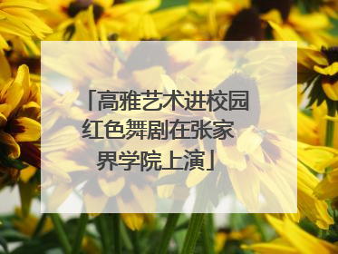 高雅艺术进校园 红色舞剧在张家界学院上演