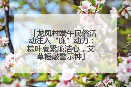 龙凤村端午民俗活动注入“廉”动力：粽叶裹紧廉洁心，艾草锤敲警示钟