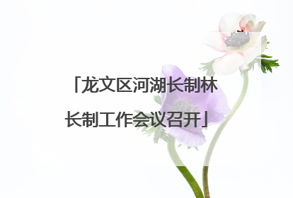 龙文区河湖长制林长制工作会议召开