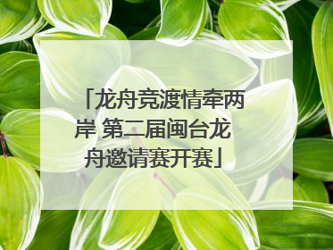 龙舟竞渡情牵两岸 第二届闽台龙舟邀请赛开赛