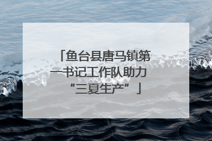 鱼台县唐马镇第一书记工作队助力“三夏生产”
