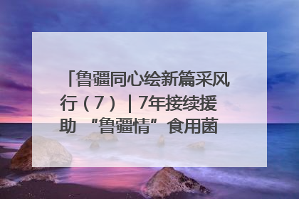 鲁疆同心绘新篇采风行（7）｜7年接续援助 “鲁疆情”食用菌从1.0走向4.0