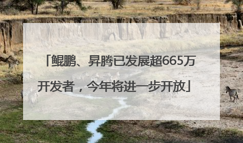 鲲鹏、昇腾已发展超665万开发者，今年将进一步开放