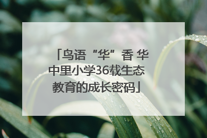 鸟语“华”香 华中里小学36载生态教育的成长密码