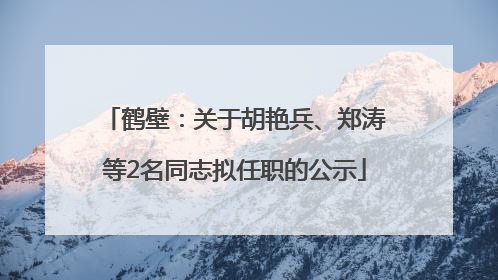 鹤壁：关于胡艳兵、郑涛等2名同志拟任职的公示