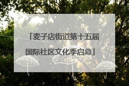 麦子店街道第十五届国际社区文化季启幕