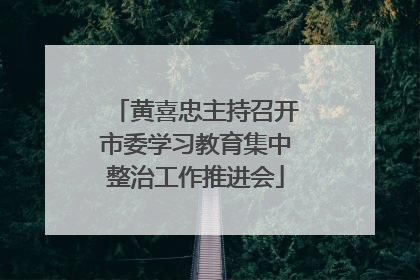 黄喜忠主持召开市委学习教育集中整治工作推进会