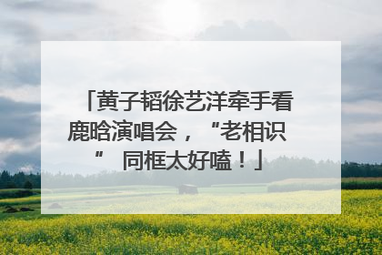 黄子韬徐艺洋牵手看鹿晗演唱会，“老相识” 同框太好嗑！