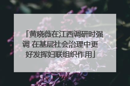 黄晓薇在江西调研时强调 在基层社会治理中更好发挥妇联组织作用