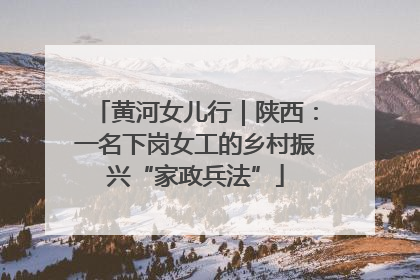 黄河女儿行｜陕西：一名下岗女工的乡村振兴“家政兵法”