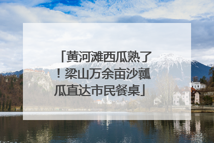 黄河滩西瓜熟了！梁山万余亩沙瓤瓜直达市民餐桌