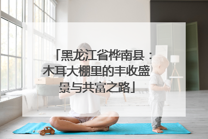 黑龙江省桦南县：木耳大棚里的丰收盛景与共富之路