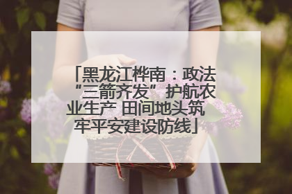 黑龙江桦南：政法“三箭齐发”护航农业生产 田间地头筑牢平安建设防线