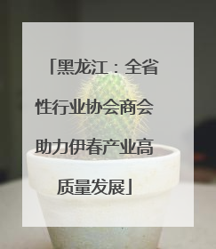 黑龙江：全省性行业协会商会助力伊春产业高质量发展
