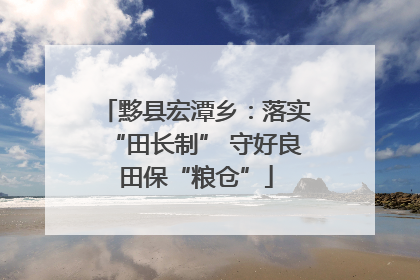 黟县宏潭乡：落实“田长制” 守好良田保“粮仓”