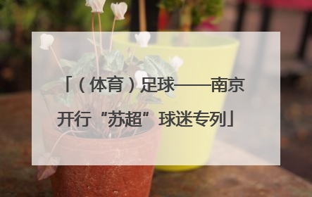 （体育）足球——南京开行“苏超”球迷专列
